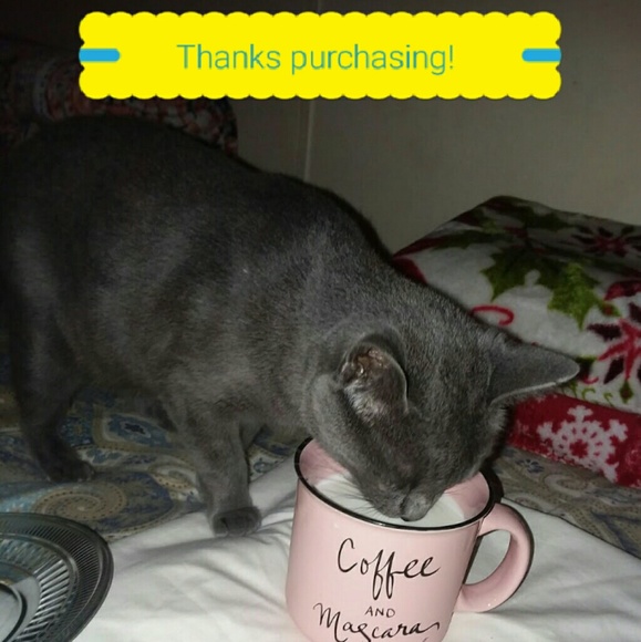 All sales are for the unexpected ER Vet Bill😓 - Picture 2 of 4